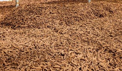 临潭 中藏药材产业引领乡村振兴新篇章