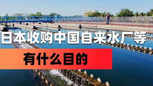 外资收购中国关键行业背后的战略考量 以日资进入水务、中药及盐业为例
