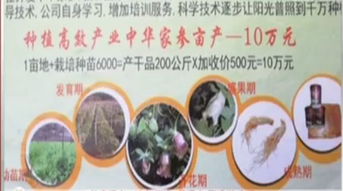 菏泽两百余户种植高价中药材 卖方承诺暴利背后的真实与风险